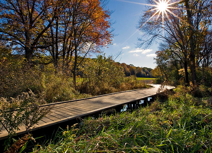 iroquois pipeline grants