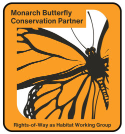 Monarch Wings